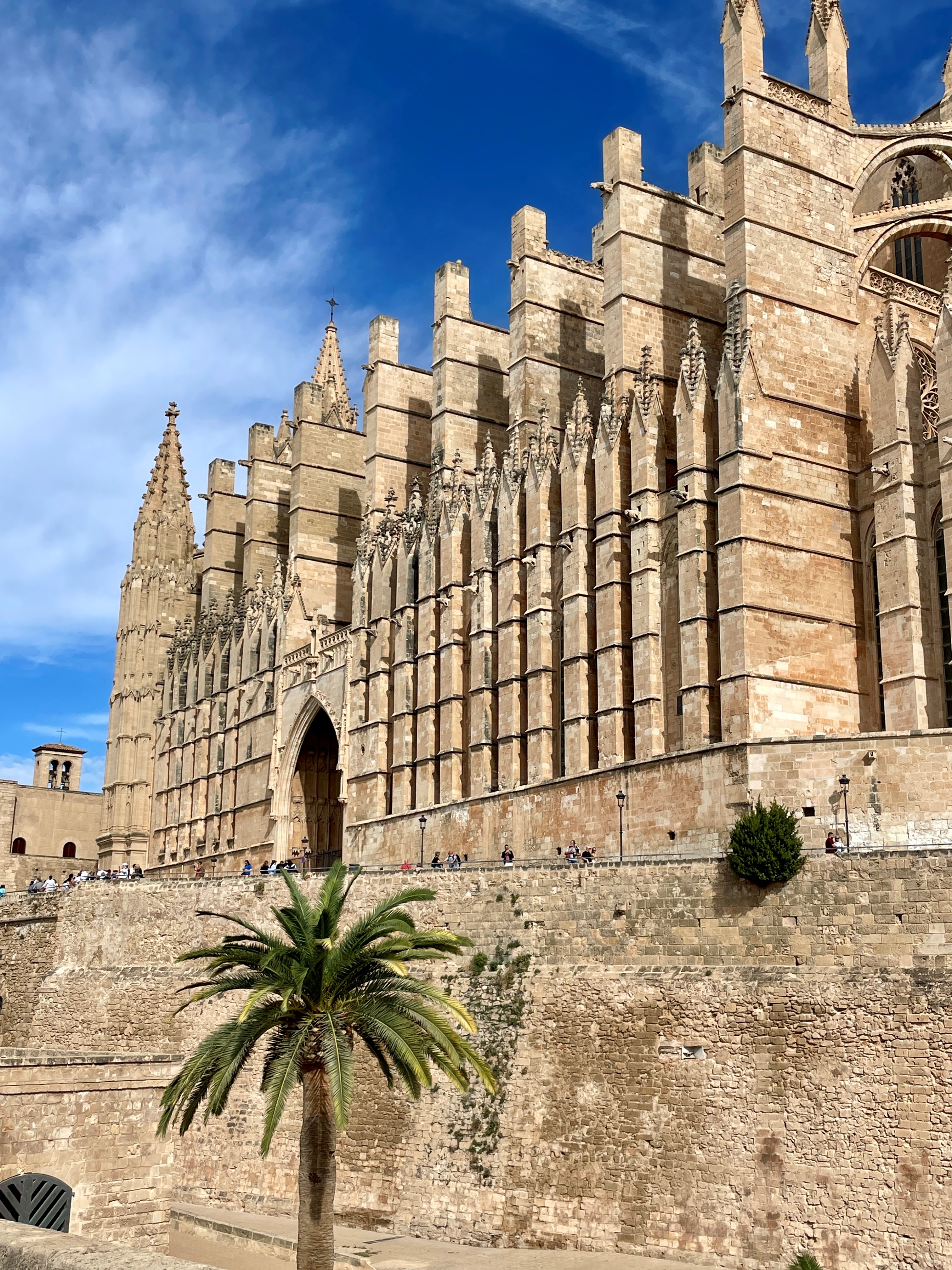 Palma Katedral